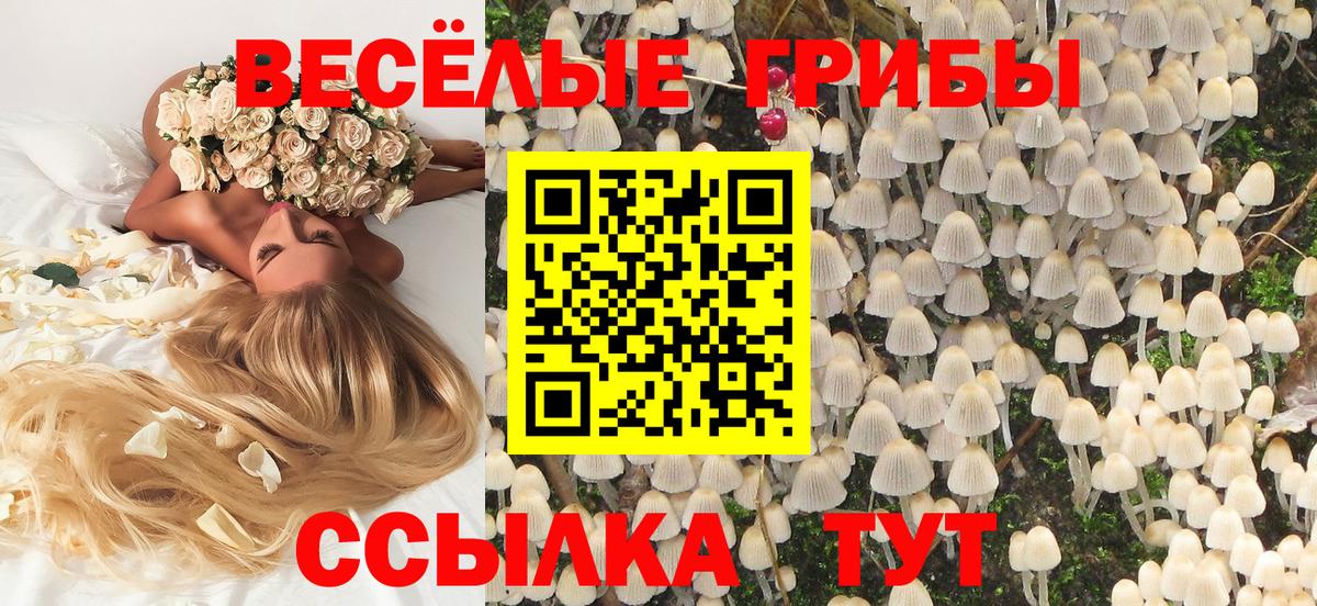 Псков  Галлюциногенные грибы Psilocybe  Псилоцибиновые грибы GOLDEN TEACHER  Вход с VPN 